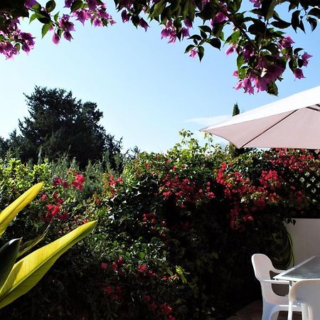 Townhouse In Paradise Gardens Paphos Exterior photo